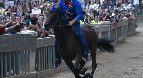 Cavallo e fantino in gara, un momento emozionante di come si celebra il Palio di Siena tra la folla festante.