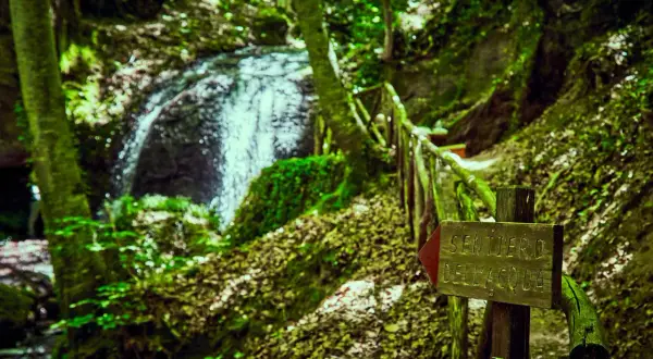 Sentiero dell'Acqua a Vivo d'Orcia: un'immersione nella natura tra cascate e sentieri suggestivi.