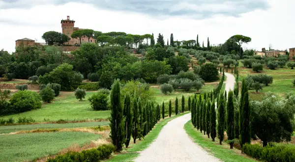 Strada bianca tra cipressi e ulivi, con un borgo in collina. Un'immagine perfetta per un weekend in Val d'Orcia.
