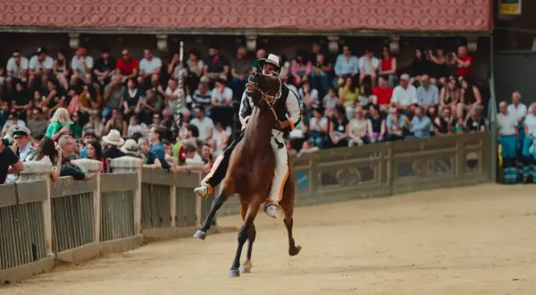 Cavallo e fantino in piena mossa al Palio di Siena, tra la folla festante sugli spalti.
