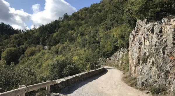 Strada sterrata serpeggia tra le **roste di montieri**, con un muretto di pietra e un guardrail in legno a proteggere il fianco.