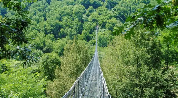 Ponte sospeso delle Ferriere che attraversa una lussureggiante foresta verde.