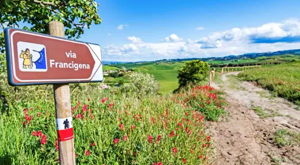 Segnale della Via Francigena in Toscana, con un sentiero che si snoda tra colline verdi e fiori rossi. Ideale per un cammino di 3 giorni.