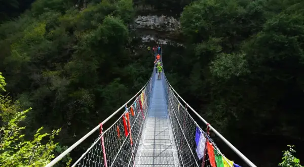 Un gruppo di escursionisti attraversa un avventuroso ponte tibetano in Emilia Romagna, circondato da una lussureggiante foresta.