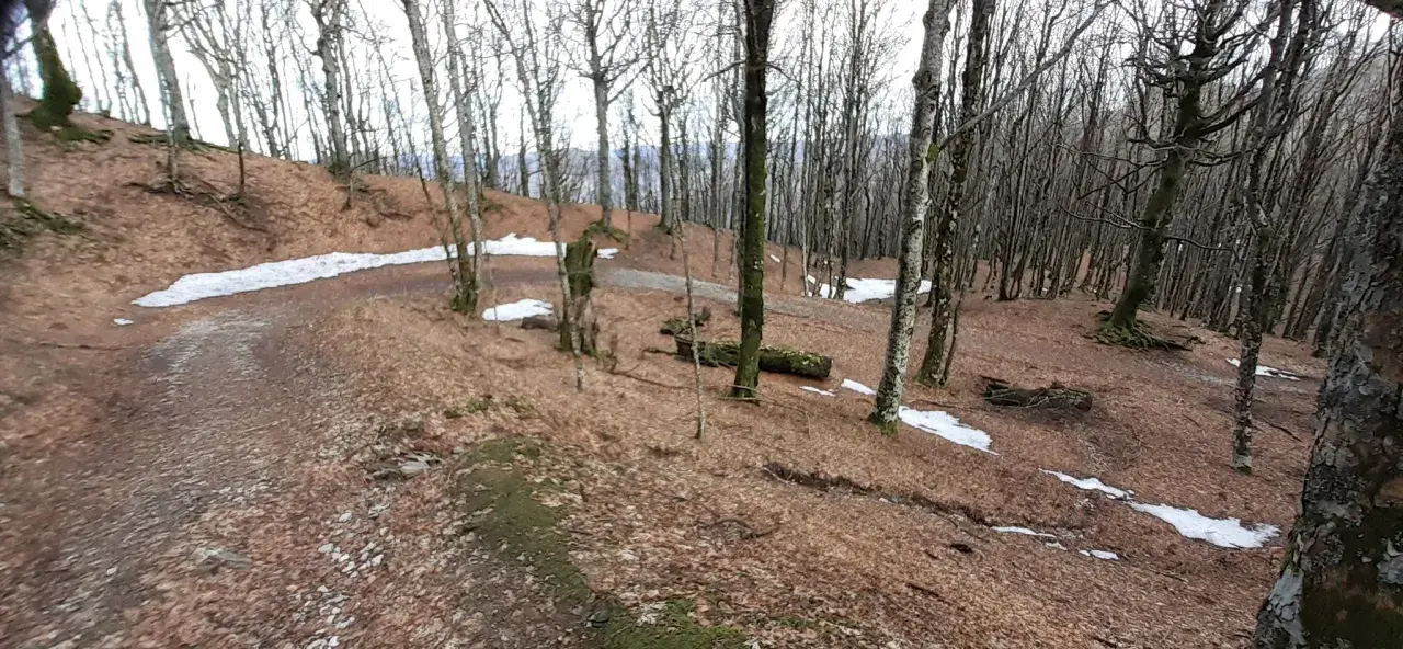 Sentieri nel bosco di faggi spogli, con chiazze di neve e un sasso fratino ricoperto di muschio.