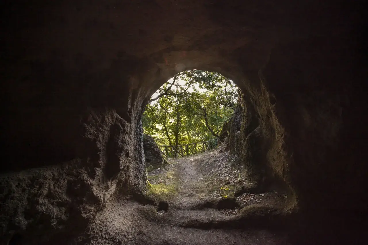 Sentiero che emerge da una grotta, verso un bosco luminoso. Un invito a scoprire Vitozza, la città perduta.