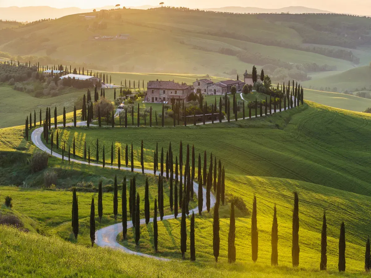 Un suggestivo itinerario Val d'Orcia 3 giorni: cipressi fiancheggiano una strada tortuosa tra dolci colline verdi al tramonto.