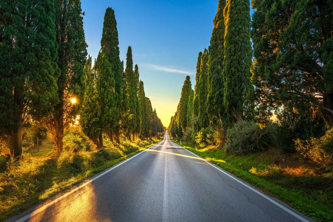 Un suggestivo viale dei cipressi in Toscana, con il sole che filtra tra gli alberi creando un'atmosfera magica.