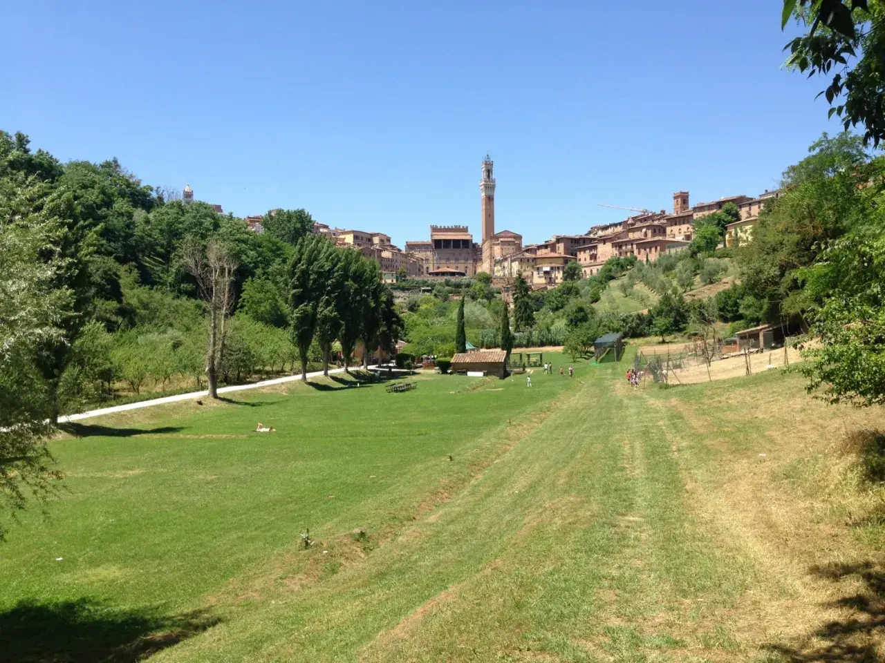 Un prato verde con persone che passeggiano, sullo sfondo il belsedere di Siena con i suoi edifici storici e la torre del Mangia.