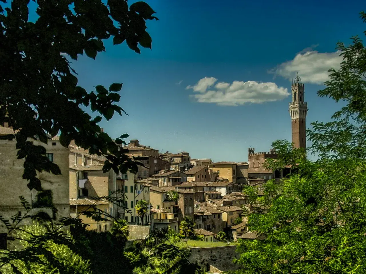 Panoramica di Siena con la Torre del Mangia, un'idea di cosa vedere a Siena di sera, tra vicoli e scorci suggestivi.