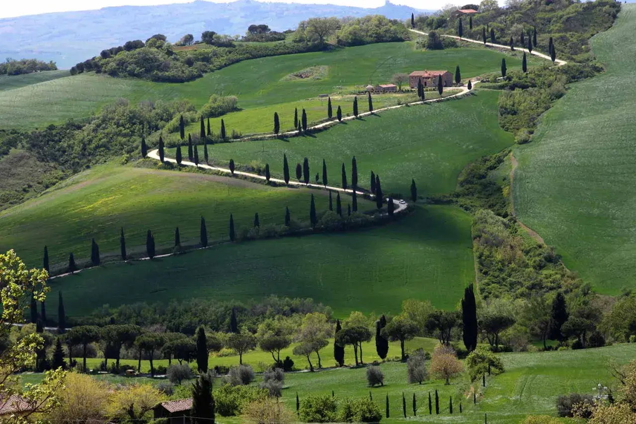 Colline ondulate del Val d'Orcia, con una strada tortuosa fiancheggiata da cipressi che conduce a una casa colonica. Esperienze indimenticabili in Toscana.