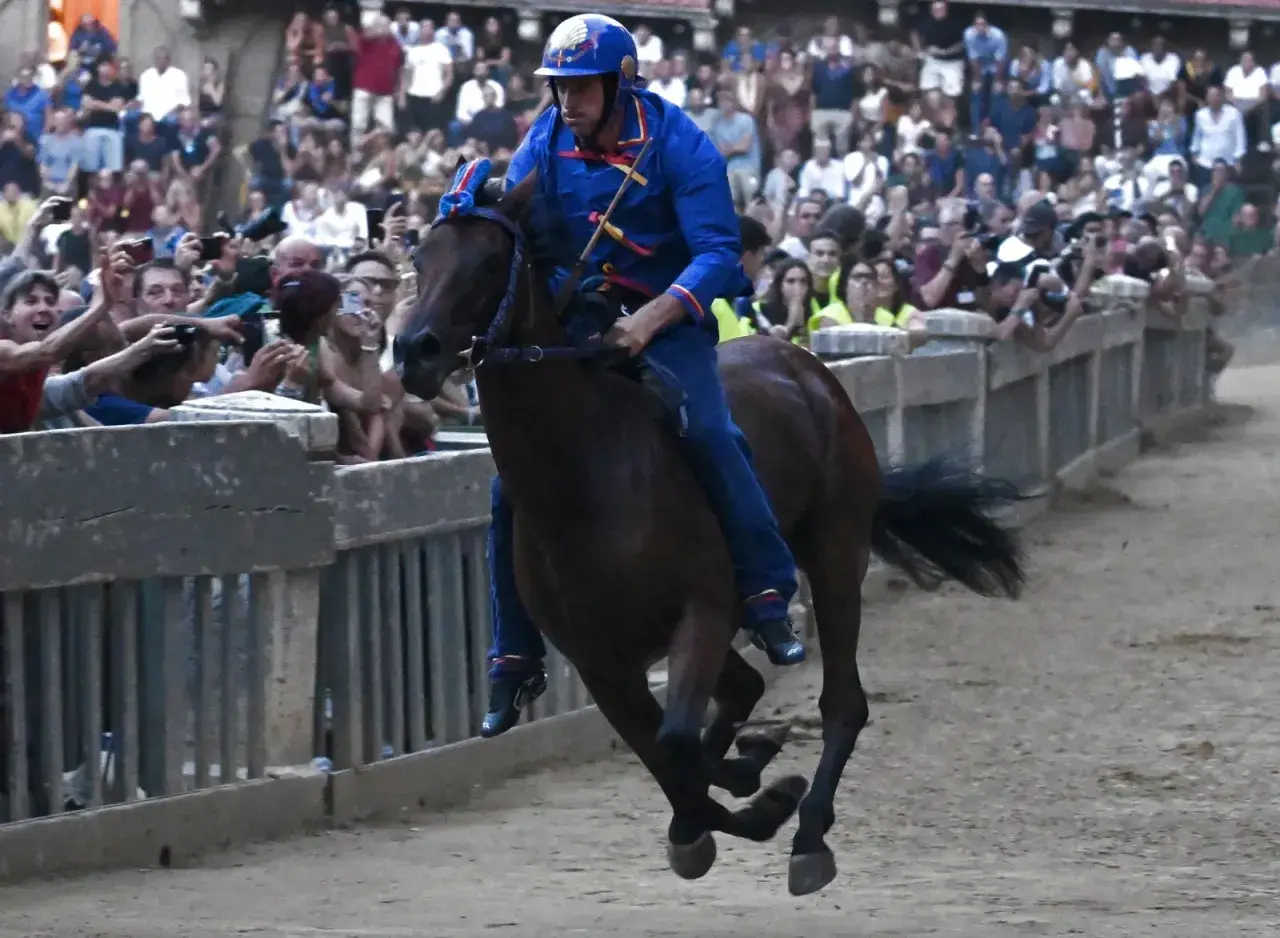 Cavallo e fantino in gara, un momento emozionante di come si celebra il Palio di Siena tra la folla festante.