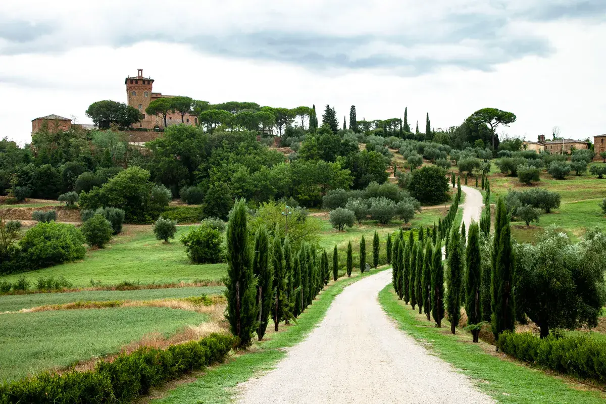 Strada bianca tra cipressi e ulivi, con un borgo in collina. Un'immagine perfetta per un weekend in Val d'Orcia.