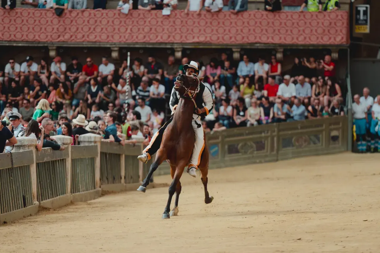 Cavallo e fantino in piena mossa al Palio di Siena, tra la folla festante sugli spalti.