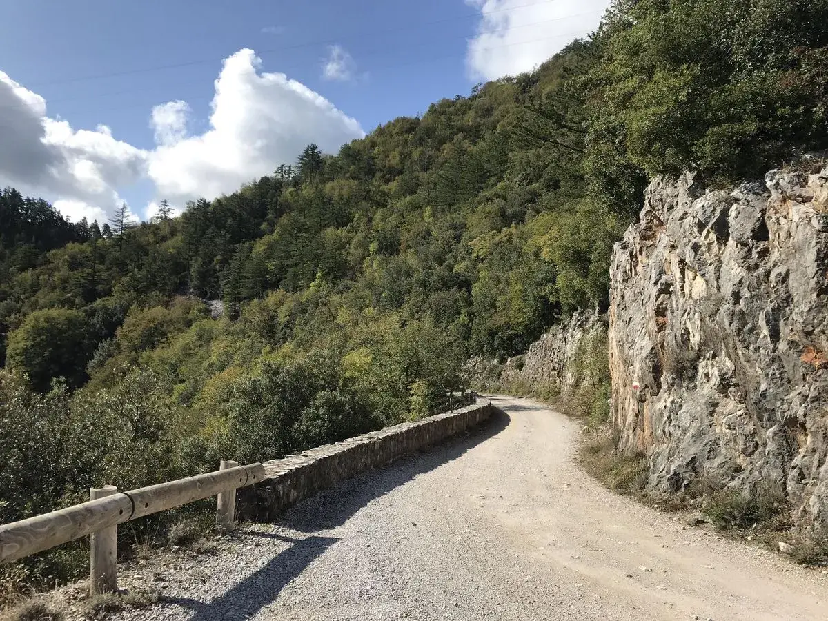 Strada sterrata serpeggia tra le **roste di montieri**, con un muretto di pietra e un guardrail in legno a proteggere il fianco.