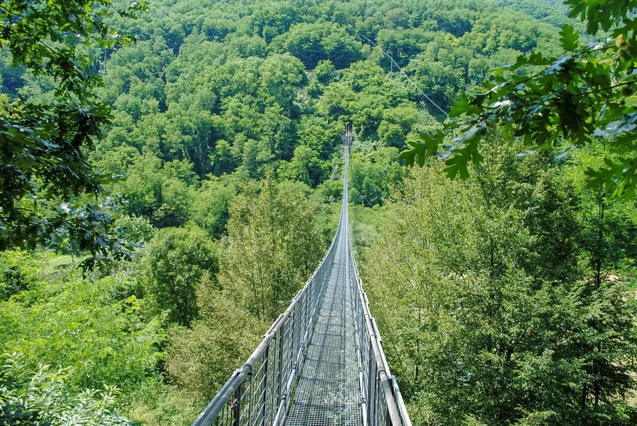 Ponte sospeso delle Ferriere che attraversa una lussureggiante foresta verde.
