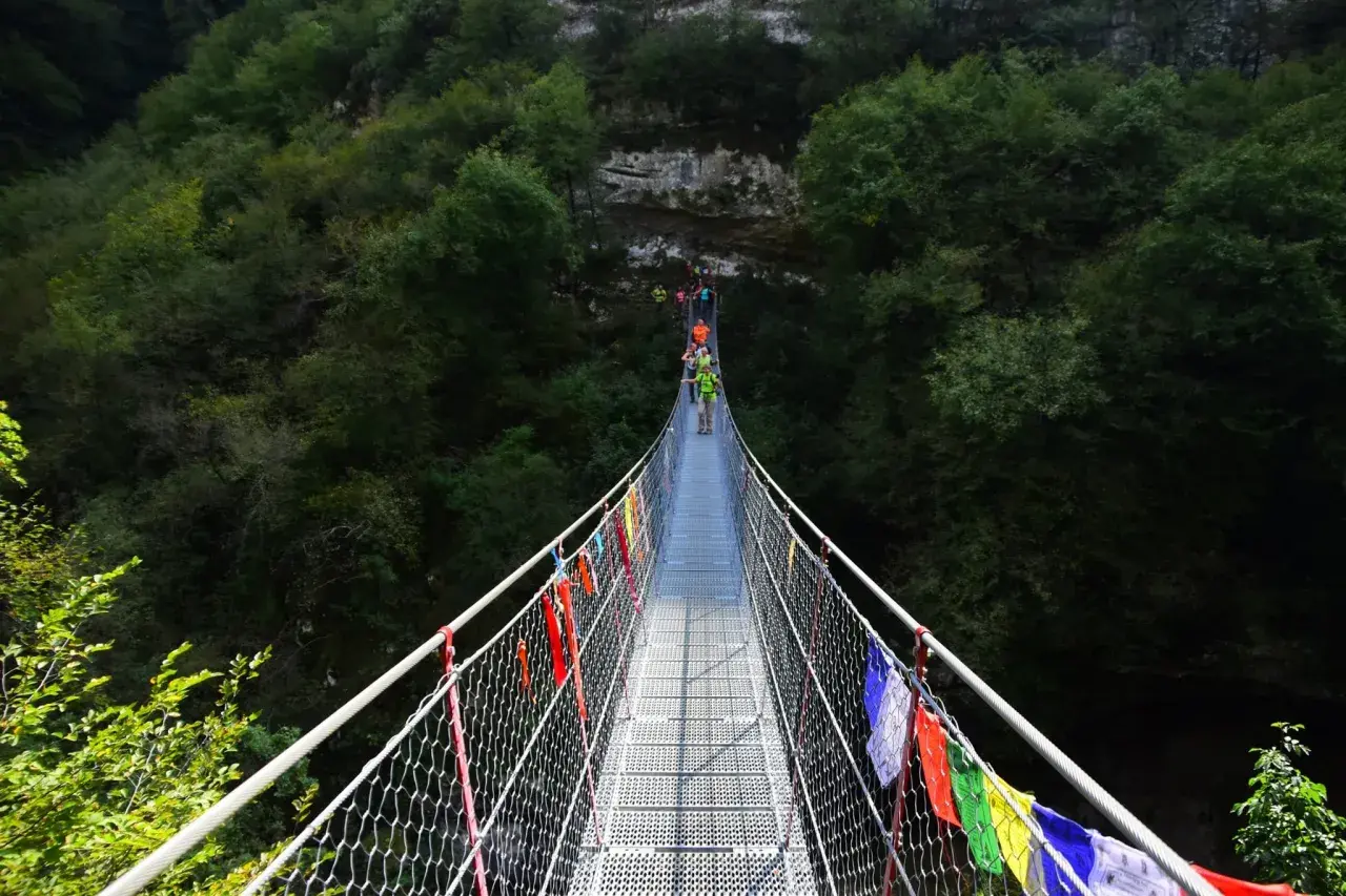 Un gruppo di escursionisti attraversa un avventuroso ponte tibetano in Emilia Romagna, circondato da una lussureggiante foresta.