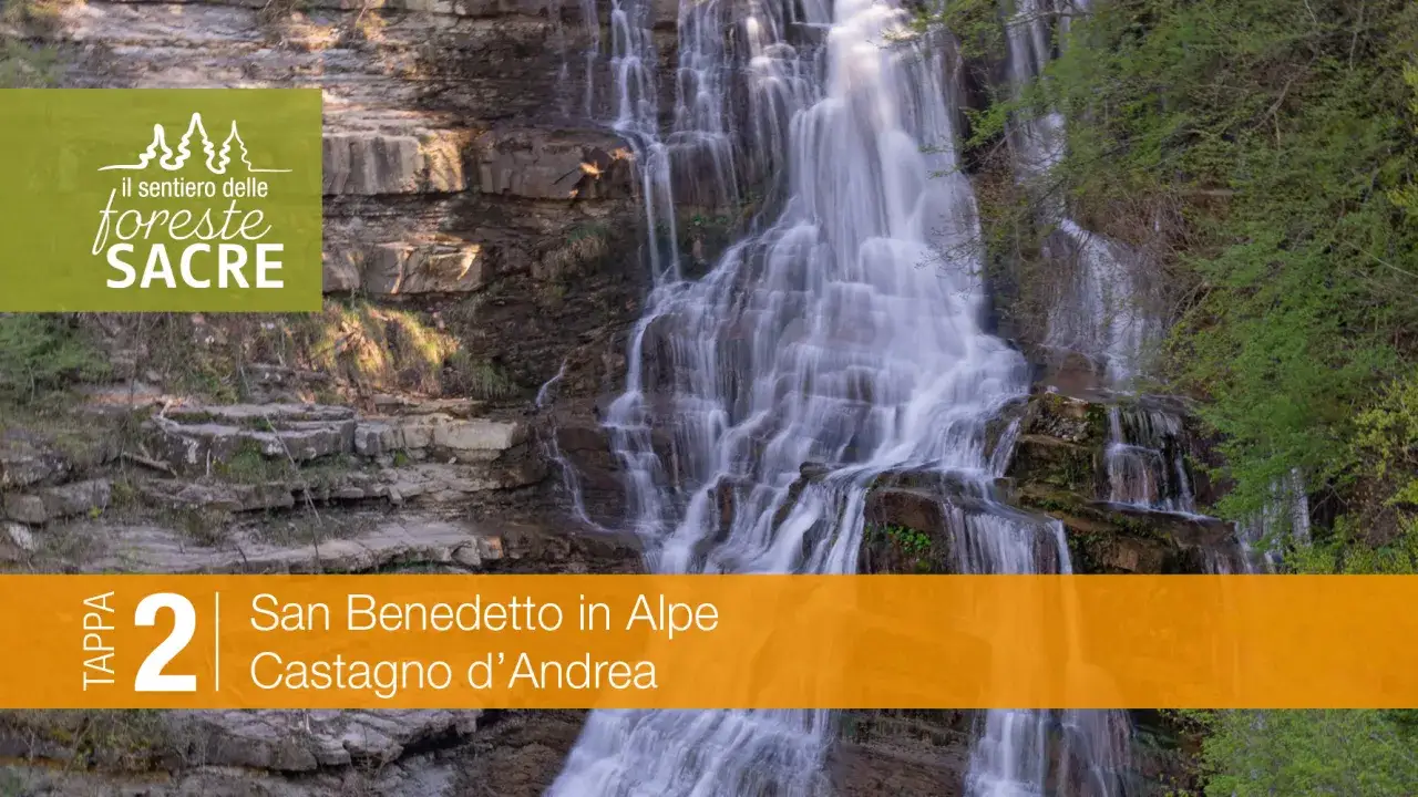Cascata e sentieri nel bosco. Un sasso fratino guida lungo i sentieri delle foreste sacre, verso San Benedetto in Alpe.