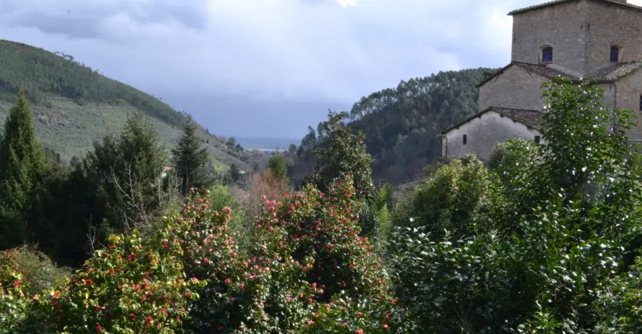 Un borgo in pietra si staglia sul monte Pisano, circondato da alberi verdi e cespugli fioriti di camelie rosse.