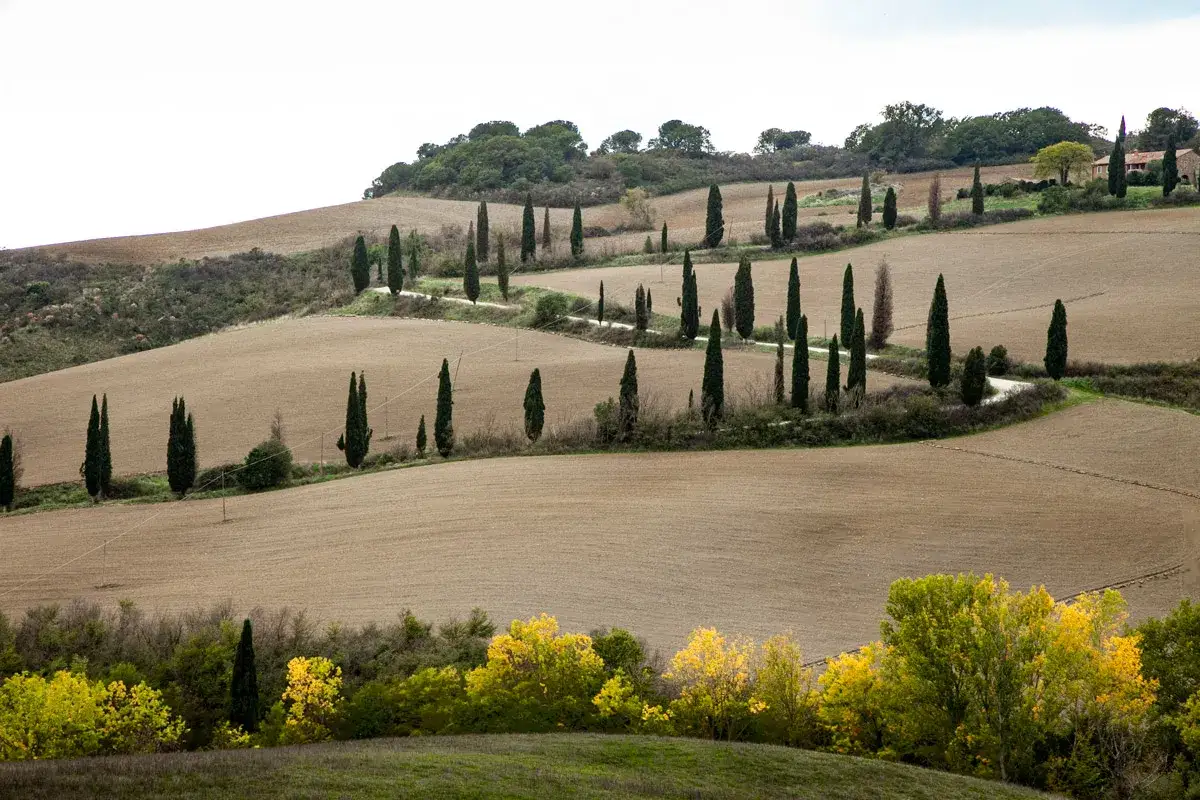 Un perfetto weekend in Val d'Orcia: colline ondulate, cipressi iconici e campi arati sotto un cielo nuvoloso.