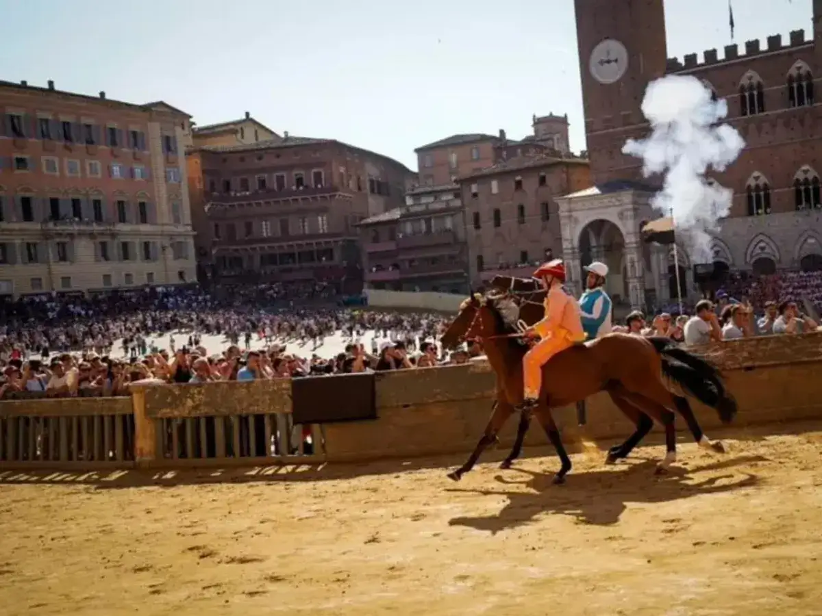 Cavalli e fantini corrono nella piazza per il Palio di Siena. Le regole sono ferree per questa antica tradizione.
