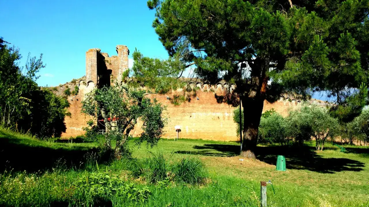 Antiche mura di Siena, un belsedere tra pini e ulivi, sotto un cielo azzurro.