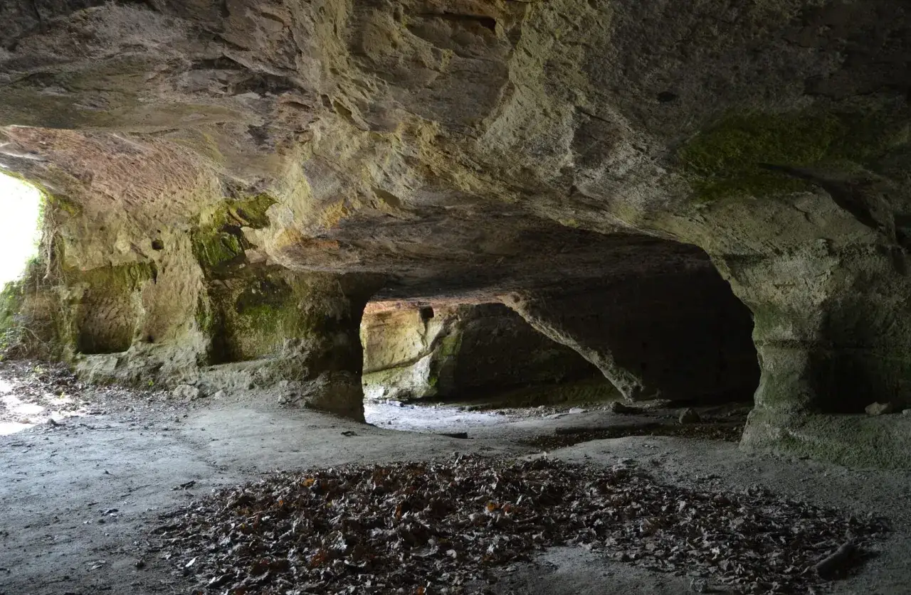 L'interno di una grotta con nicchie scavate nella roccia, un'eco di Vitozza, la città perduta, dove la natura ha reclamato antichi insediamenti.