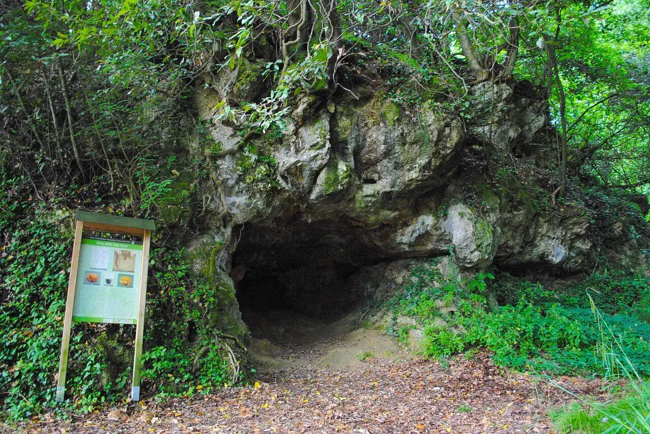 Ingresso di una grotta all'onda, nascosta tra la vegetazione rigogliosa. Un pannello informativo sulla sinistra introduce i visitatori a questo luogo misterioso.