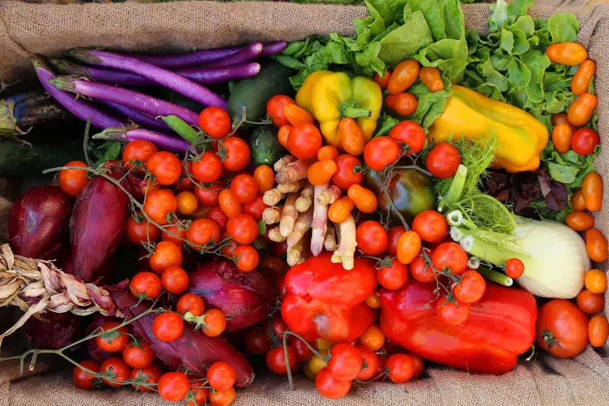 Cesto pieno di verdure fresche, pomodorini, melanzane viola, peperoni gialli e rossi, cipolle rosse, lattuga e finocchio, un vero tripudio di colori tipico del certaldo markt.