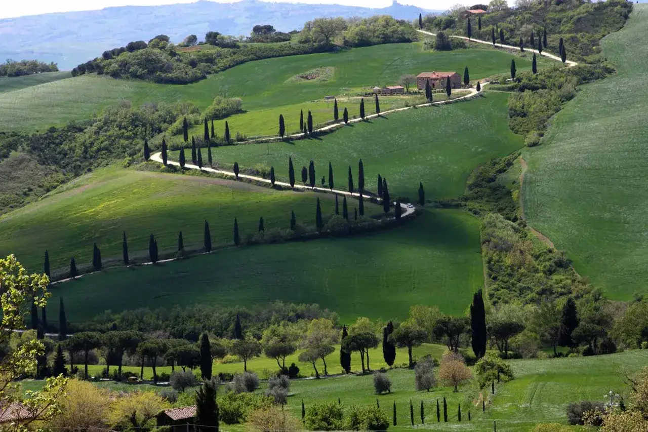 Colline ondulate e verdi, cipressi lungo una strada tortuosa e una casa colonica. Un paesaggio iconico per le tue esperienze in Val d'Orcia.