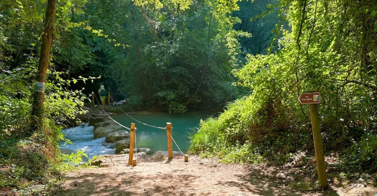 Sentiero nella natura, ideale per cammini in Toscana. Un ruscello attraversa la vegetazione lussureggiante, con un cartello che indica la Via Francigena.
