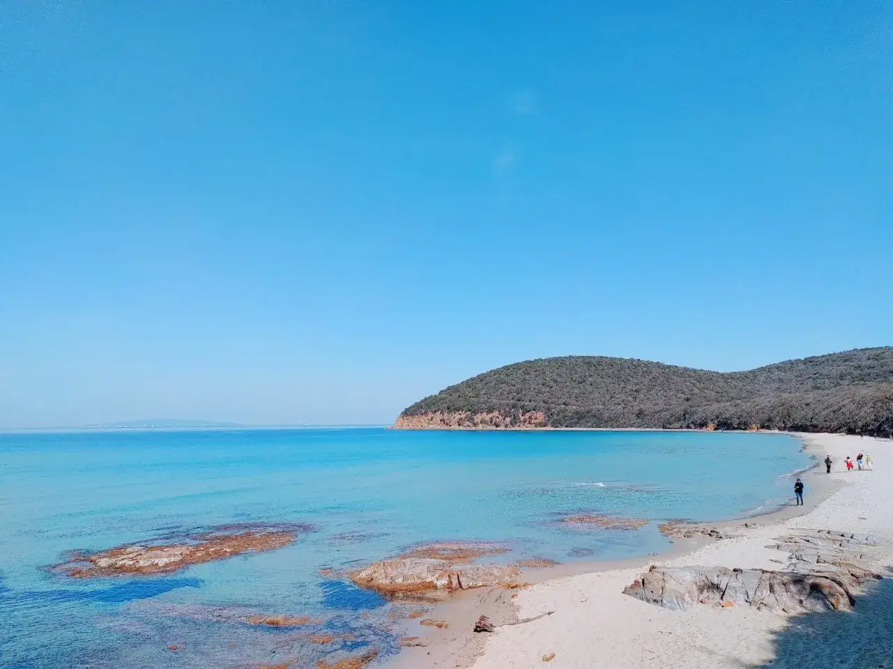 Spiaggia delle bandite di Scarlino con mare cristallino e collina verdeggiante.