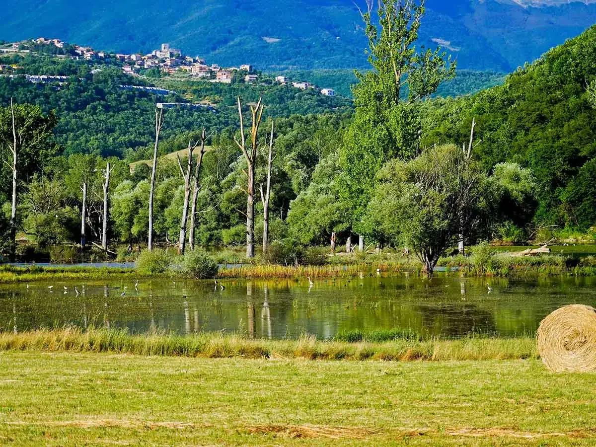 Paesaggio rurale con lago, alberi secchi e un borgo in collina. Ideale per itinerari in bici tra natura e storia.