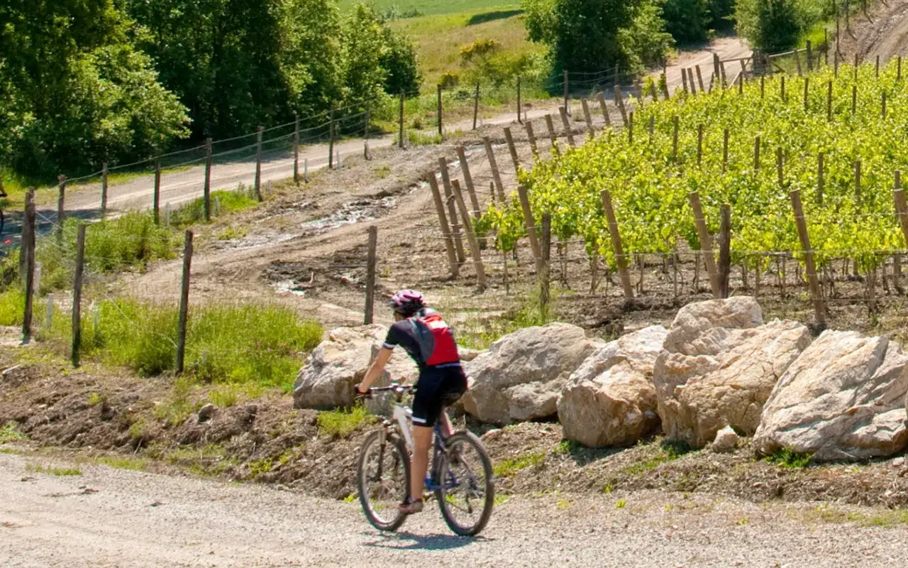 Ciclista su strade bianche toscana, tra vigneti e rocce, godendosi il paesaggio.