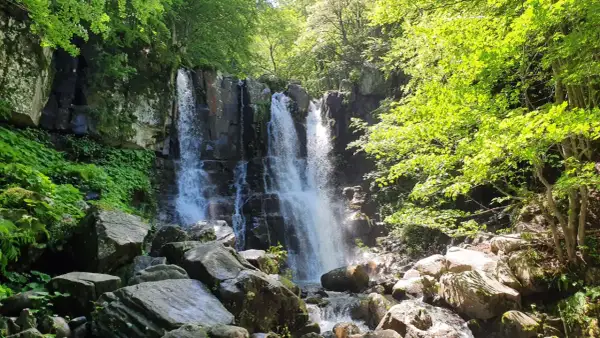 Cascate bologna: un'oasi verde con cascate fragorose tra rocce e vegetazione lussureggiante.
