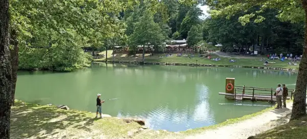 Un ragazzo pesca sul lago Pontini, circondato da alberi e persone che si rilassano sull'erba.