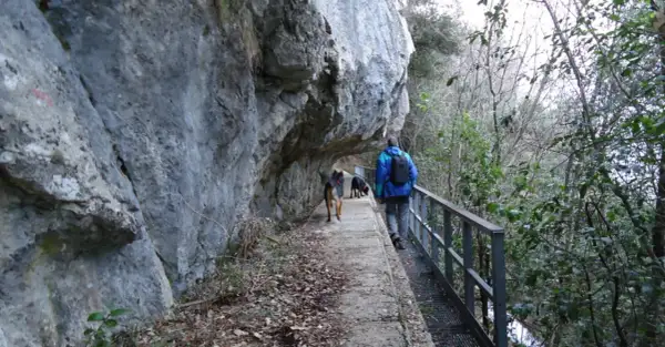 Passeggiata con cani lungo un sentiero sotto una roccia sporgente, simile a una grotta all'onda.