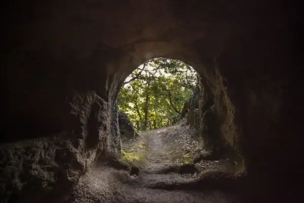 Sentiero che emerge da una grotta, verso un bosco luminoso. Un invito a scoprire Vitozza, la città perduta.