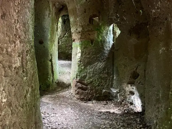 Sentiero tra antiche grotte in Toscana, con pareti rocciose ricoperte di muschio e foglie secche sul terreno.