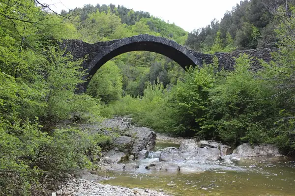 Antico ponte della Pia con un arco in pietra, circondato da una rigogliosa vegetazione verde e un ruscello che scorre tra le rocce.