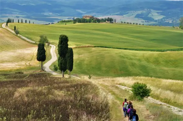 Sentiero tra colline verdi e campi dorati, con cipressi iconici che conducono a un casale. Un gruppo di escursionisti esplora i borghi vicino Montalcino.