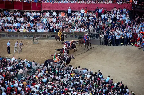 Cavalli e fantini in gara durante il Palio dell'Assunta a Siena, tra la folla festante.