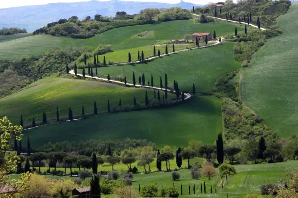 Colline ondulate del Val d'Orcia, con una strada tortuosa fiancheggiata da cipressi che conduce a una casa colonica. Esperienze indimenticabili in Toscana.