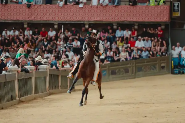 Cavallo e fantino in piena mossa al Palio di Siena, tra la folla festante sugli spalti.