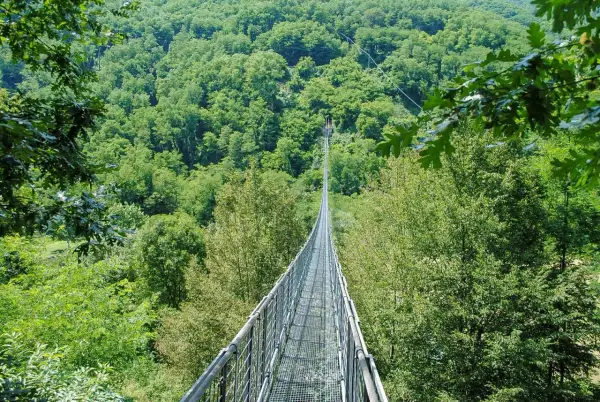 Ponte sospeso delle Ferriere che attraversa una lussureggiante foresta verde.
